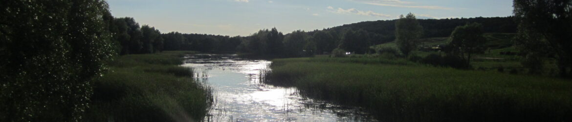 Myślęcinek - widok z mostu