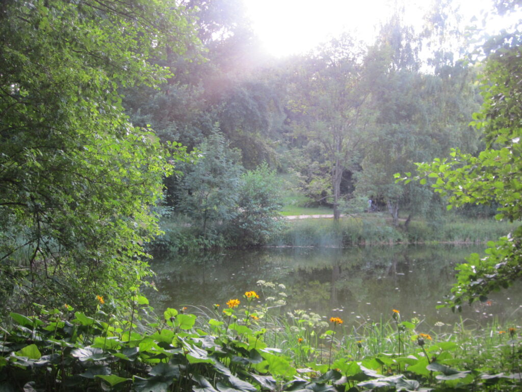 Myślęcinek - widok na staw