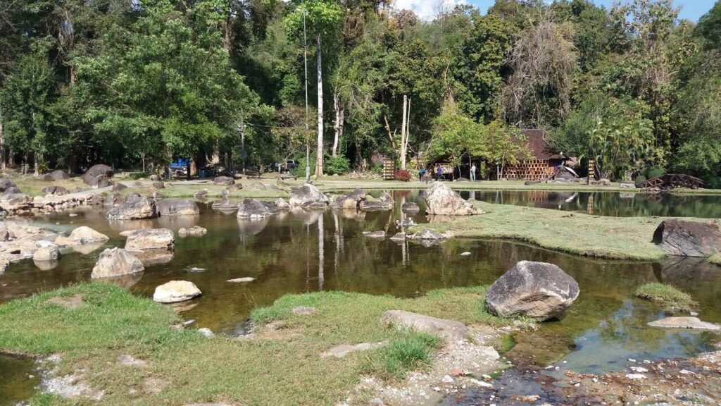 Chae Son - widok na park