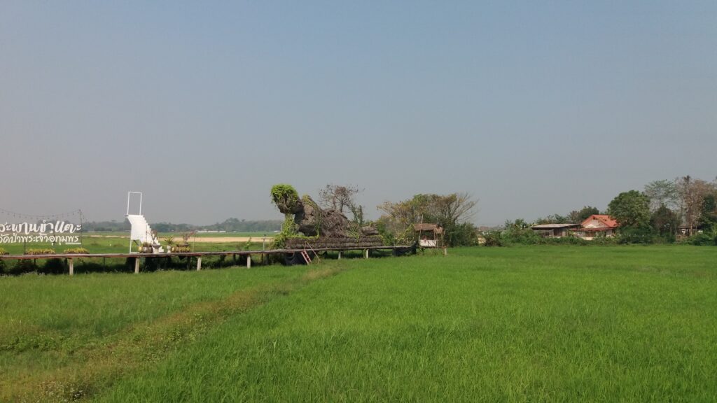 Wat Pa Phra Chao Uthumphon - widok z daleka na pola