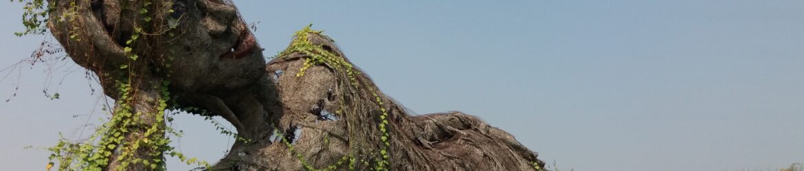 Wat Pa Phra Chao Uthumphon