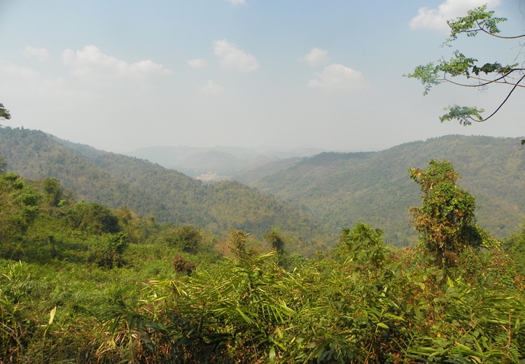 Khao Yai National Park - mountains and forest, fot. Daniel Karwicki