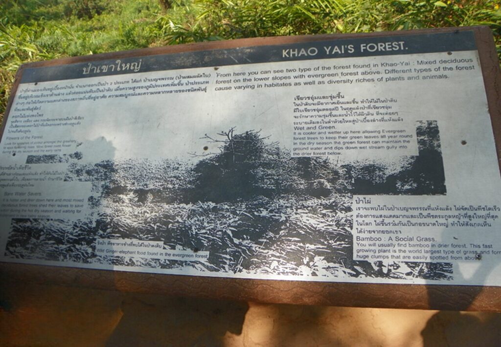 Khao Yai National Park, Thailand - fores, fot. Daniel Karwicki