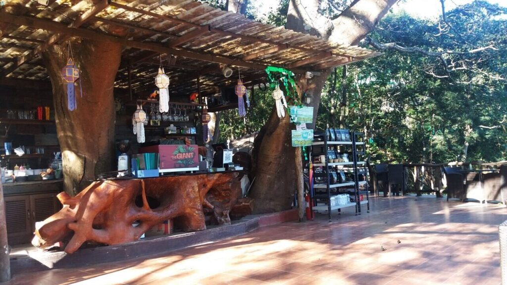 Coffee Shop in Chiang Mai Province - fot. Daniel Karwicki