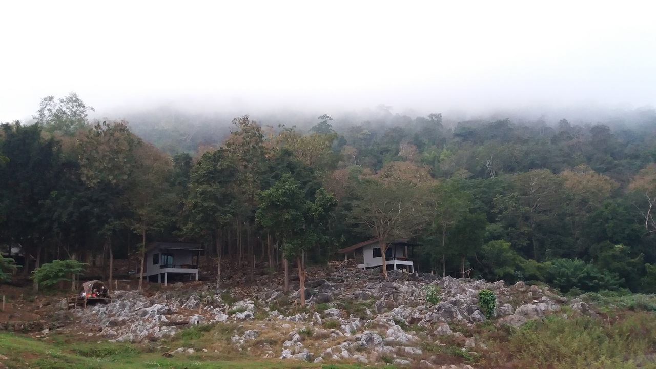 Park Narodowy Mae Ping - fot. Daniel Karwicki