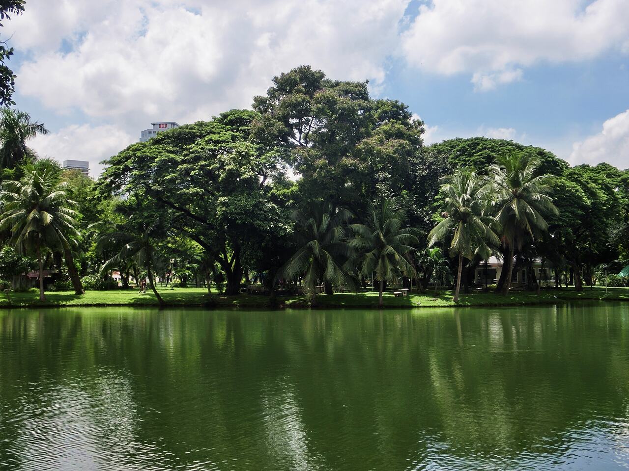 Lumphini Park w Bangkoku - fot: Daniel Karwicki