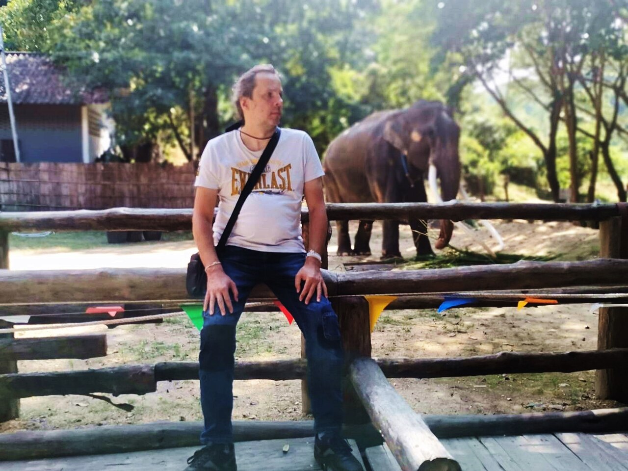 Thai Elephant Conservation Center w Lampang - fot.: Daniel Karwicki