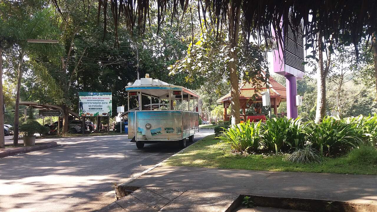 Thai Elephant Conservation Center w Lampang - fot.: Daniel Karwicki